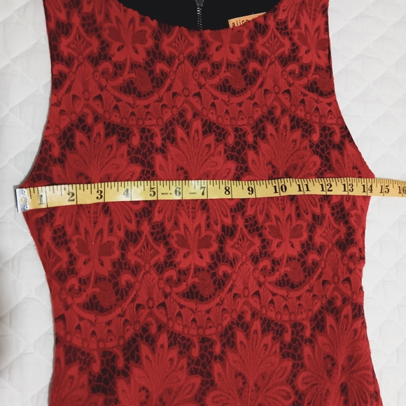 Alice + Olivia Womens Donovan Fitted Lace Dress Red Black Lined - Picture 8 of 9